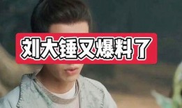 刘大锤最近爆料视频,揭秘娱乐圈惊人内幕